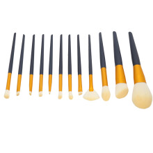 Complete 12-Piece Makeup Brushes Set with Bag for Powder Eyeshadow Blush