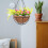 2Sets Multi Coconut Fiber Planter Liners Soft Breathable Basket Liners 4