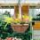 2Sets Multi Coconut Fiber Planter Liners Soft Breathable Basket Liners 9