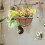 2Sets Multi Coconut Fiber Planter Liners Soft Breathable Basket Liners 5
