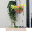 2Sets Multi Coconut Fiber Planter Liners Soft Breathable Basket Liners 6