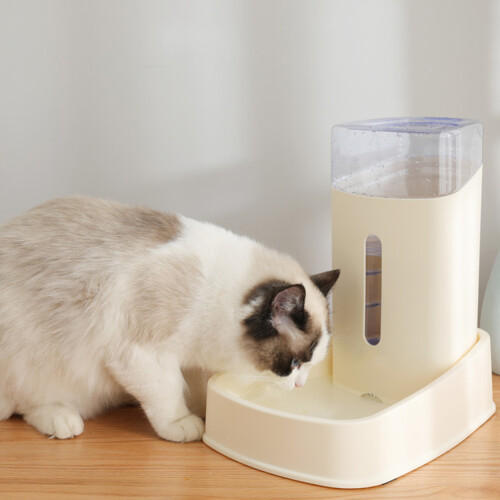dispenser 3,8 l perdite per 1