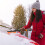 spazzola staccabile per neve e ghiaccio per auto 2
