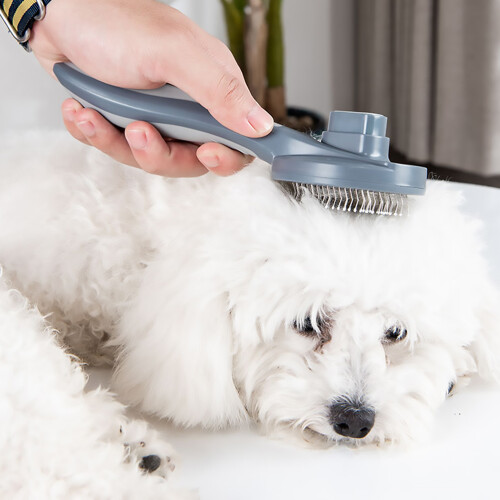 cepillo automático con masaje para y perros, suciedad 2
