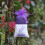 20 leere Duftsäckchen mit Blumenmuster, Lavendelduft, dunkelviolett 5