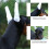 8 supporti orecchie cane con schiuma e rigide e 11