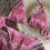 Backless Bathing Suit for Women 3 Pcs Split-light brown XL 6