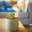 25St Plantlabels Bamboe Beige Voor , En 3