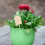25St Plantlabels Bamboe Beige Voor , En 5