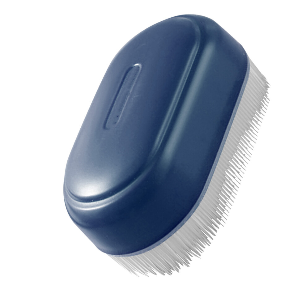 Multifunctional Blue Plastic Shoe Brush, 10x5.5cm, Soft Bristle-image-OPC-PKGK7KB-NEW