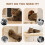 PawHut (Cream) PawHut Cat Tree Tower Scratching Post Bed House, 132cm 7
