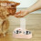 dispenser per con ciotole 10