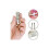 Professional Tweezers for Eyebrows High Precision LED Light Stainless Steel 5