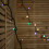 29.9m Set of 300 Connectable Max String Lights with Multi-Coloured LEDs 2