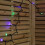 29.9m Set of 300 Connectable Max String Lights with Multi-Coloured LEDs 9