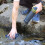 Clearly Filtered Water Bottle Ultra-Fine Filter 7