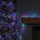 Premier 9.3m 720 LED Christmas Cluster String Lights with Timer in Multi-Coloured on Clear Cable 2