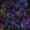 Premier 9.3m 720 LED Christmas Cluster String Lights with Timer in Multi-Coloured on Clear Cable 7