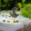 aquarium resin rock cave with tree for betta fish hiding 5