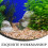 aquarium resin rock cave with tree for betta fish hiding 8