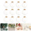 24 pcs clear plastic fillable hanging ornaments 11