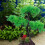 artificial fish tank plants plastic tree decor for aquarium 10