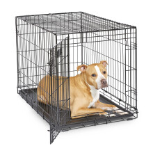 MidWest Homes for Pets  Neu verbesserte Hundebox iCrate mit Einzel- und Doppeltr, inklusive auslaufsicherer Wanne, Bodenschutzfen, Trennwand