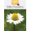 Wild Flowers Paperback Book 1