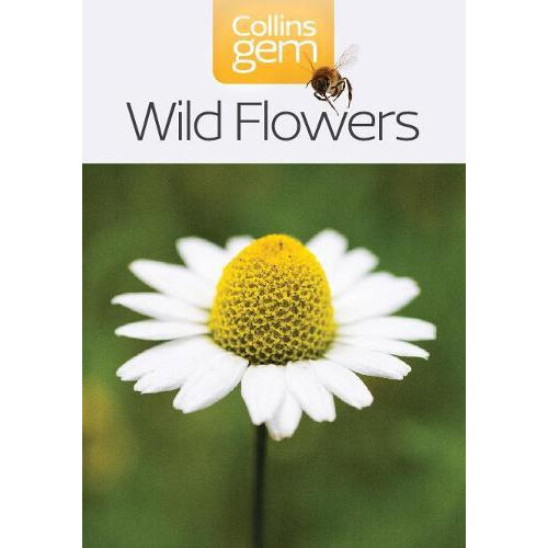 Wild Flowers Paperback Book