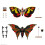Super7 Toho ULTIMATES! Wave 05 - Mothra (1992) Action Figure 4