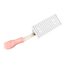 Arm Moving Model for Elbow Joint Anatomy Teaching, Glass Fiber Resin