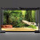 AVENTE 72X18 POLEGADAS TERRARIUM FORESTORENTE PEDRA VERDE VERMENTE ENORME 2