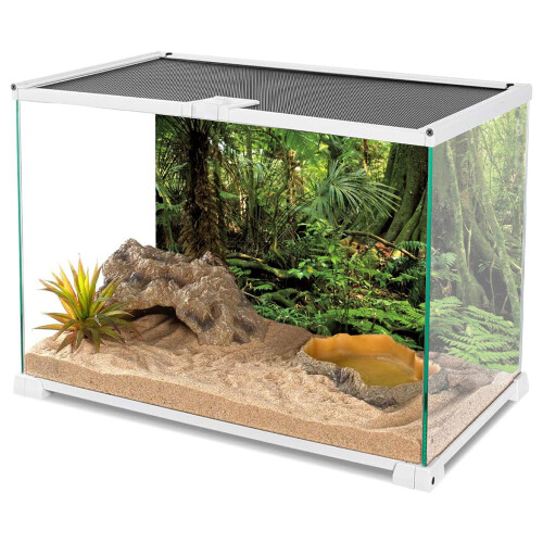 AVENTE 72X18 POLEGADAS TERRARIUM FORESTORENTE PEDRA VERDE VERMENTE ENORME 2