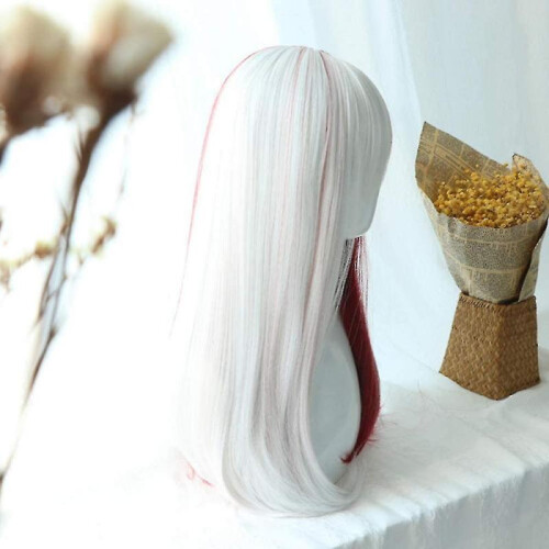 Anime Cosplay Wig, Halloween Wig 2