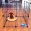 Cage Robuste Pour Animaux, En Bambou Avec Verrou 7