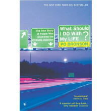 What Should I Do With My Life by Po Bronson Paperback Book