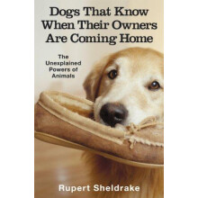 Dogs That Know When Their Owners Are Coming Home by Rupert Sheldrake P