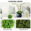 2 pezzi verde, decorazione e matrimonio 11