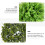 2 pezzi verde, decorazione e matrimonio 10