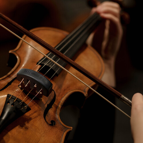 Enhanced Practice with 4pcs Rubber Violin Mutes: Claw & Round Combo 1