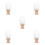 5Ensembles Base Bois Polyvalente Pour Coiffure Argile Couleurs 8