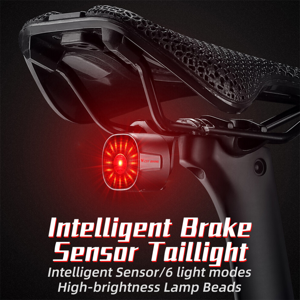 Rechargeable Bike Taillight IP66 Waterproof 6 Modes 33x33x30mm Black-image-OPC-PKGXTX5-NEW