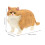 5 giocattoli realistici, statuette decorative per bambini 4