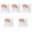 5pcs Wedding Ring Pillow White Flower Holder 3