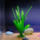 4Pcs Fishtanks Landscape Artificial Plant Decorations for-Red 5