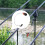 Fishing Signal Reminder Chain Soft Carp Bite 11