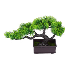 Duurzame Groene Nepplanten Voor Thuis En Bureau Decor