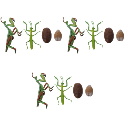 3Ensembles Modèles Vie Jeu Educatif Couleurs Variées 2