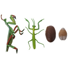 3Ensembles Modèles Vie Jeu Educatif Couleurs Variées