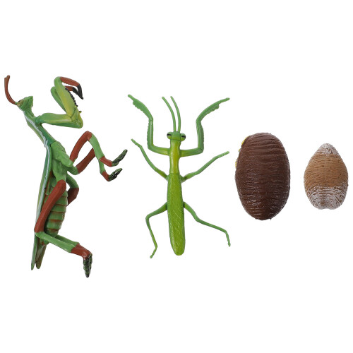 3Ensembles Modèles Vie Jeu Educatif Couleurs Variées